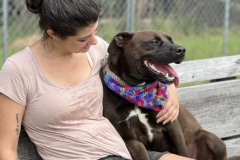 MaverickAugCFC2-608x600