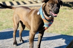 MaverickDecCFC8-copy