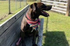 MaverickSeptCFC1-659x600