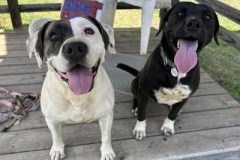 AmaraMilaAngelaMarch-copy