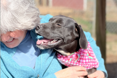 Screenshot-2023-04-16-at-6.07.46-PM-676x600