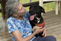 Screenshot-2023-06-21-at-3.01.32-PM-769x600