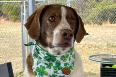 OliveMarchAngela-copy