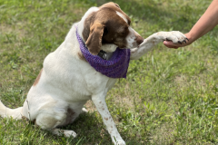 Screenshot-2023-06-21-at-3.33.45-PM-786x600