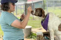 Screenshot-2023-06-21-at-3.33.58-PM-793x600