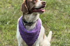 Screenshot-2023-06-21-at-3.34.07-PM-713x600