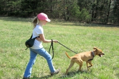 CricketGraceWalk1-677x600