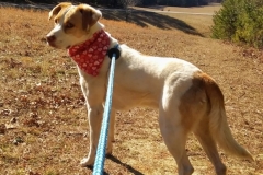 OwenCFCKristin-620x600