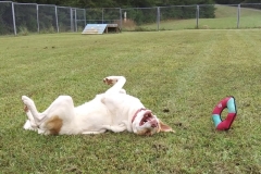 OwenCFCKristin1-800x577