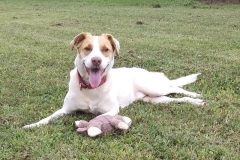 OwenCFCKristin2-800x551