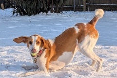 4_pi_snow