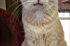 IMG_20170227_151231-335x600