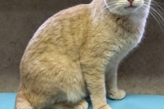 IMG_20170227_151712-394x600