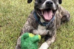 PrincessAngelaCFC-555x600