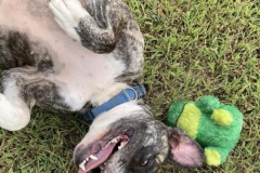 PrincessAngelaCFC1-612x600