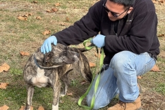 PrincessBrandonCFC2-743x600