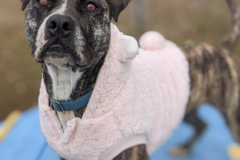 Screen-Shot-2021-11-21-at-5.46.55-PM-561x600