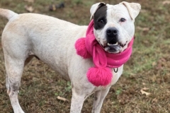 RileyDecCFC4-copy-747x600