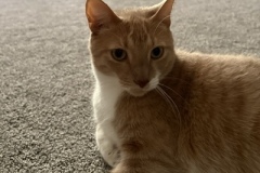 George3
