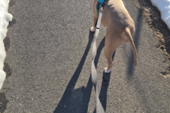 Rocky-2