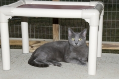 Smokey-101-800x533