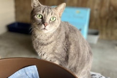 SpriteMarchCFC1-689x600