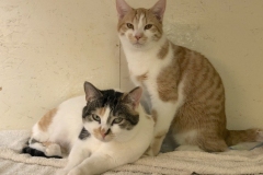 KitTatumMarchCFC7-783x600