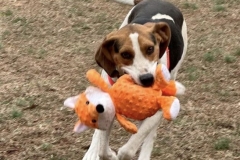 TrippAngelaCFC5-copy-627x600