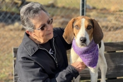 TrippDecCFC4-copy-800x600