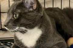 Will-Dec-26-2025-Edited-1