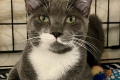 Will-Dec-26-2025-Edited-3