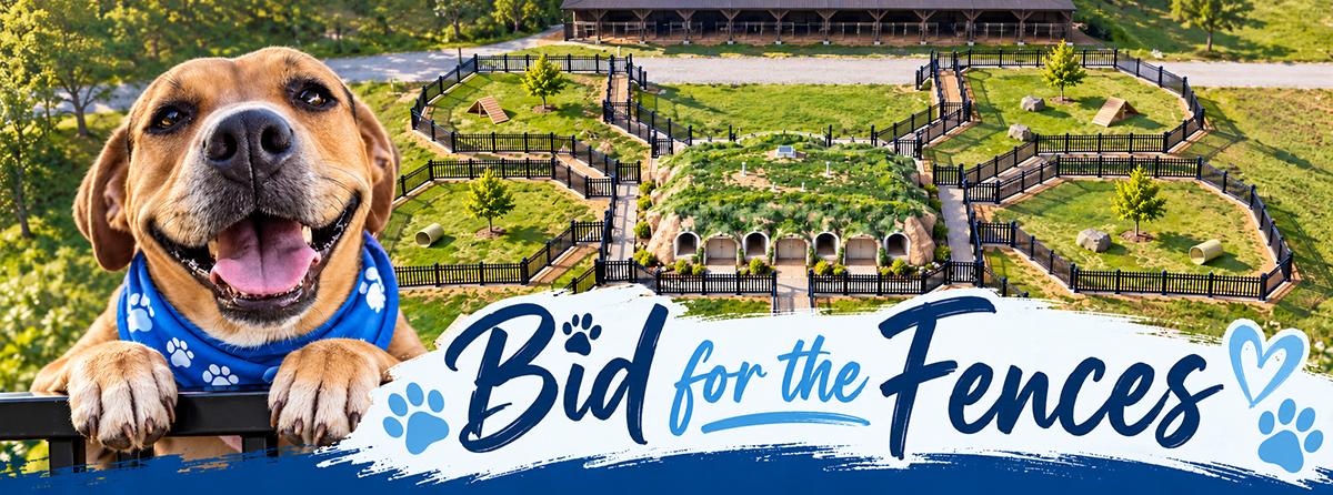 Bid for the Fences